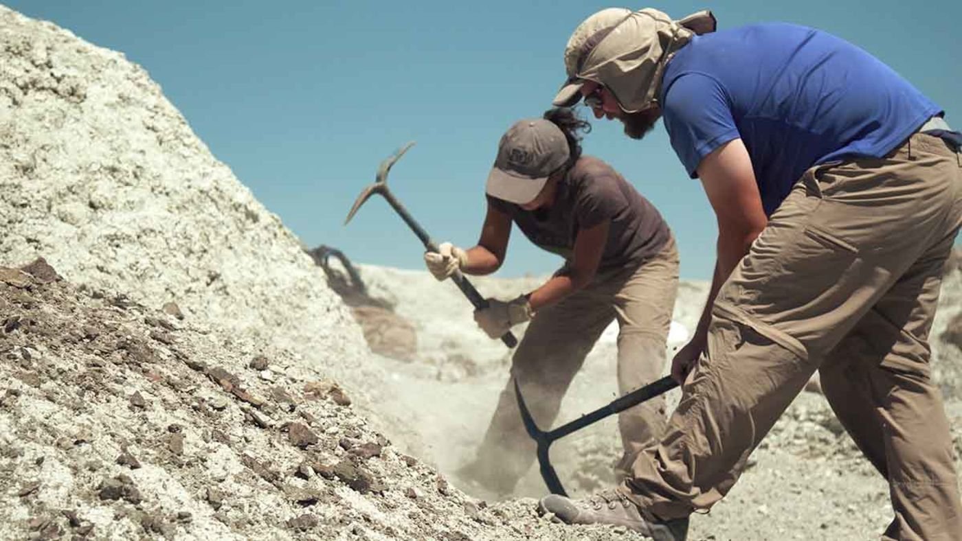 🔬 이와키시 암모나이트 센터 (이와키시 안모나이토 센타) 이미지 8